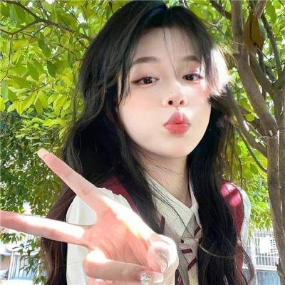 第一头牛 封面